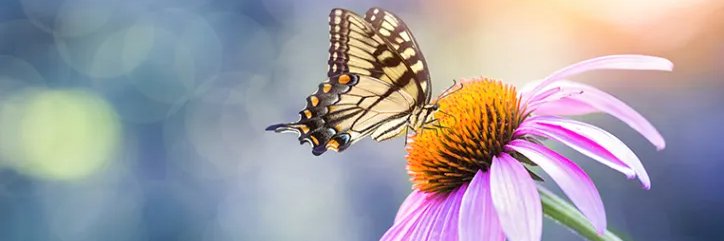 abuk3366's profile banner image