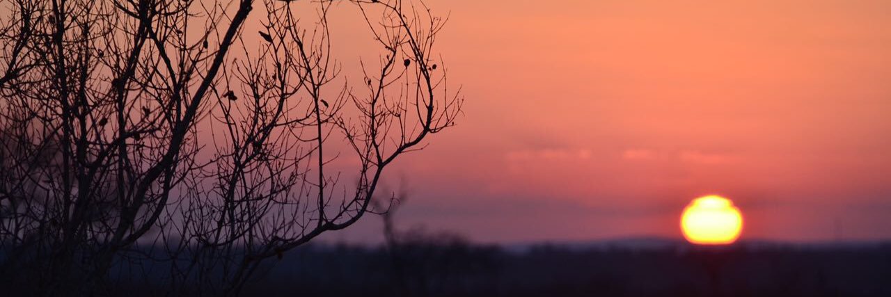 MichaelComplex's profile banner image