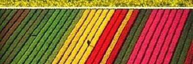 NadiaSunarto's profile banner image