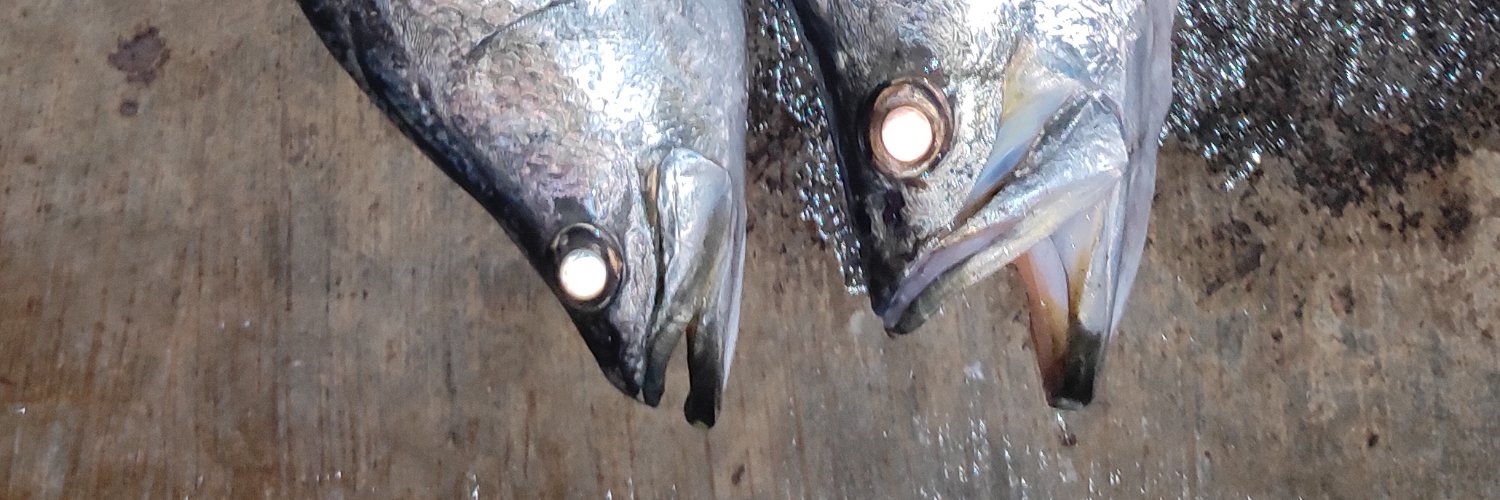 Ibba | Official banner