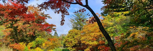 tadao_undo Profile Banner