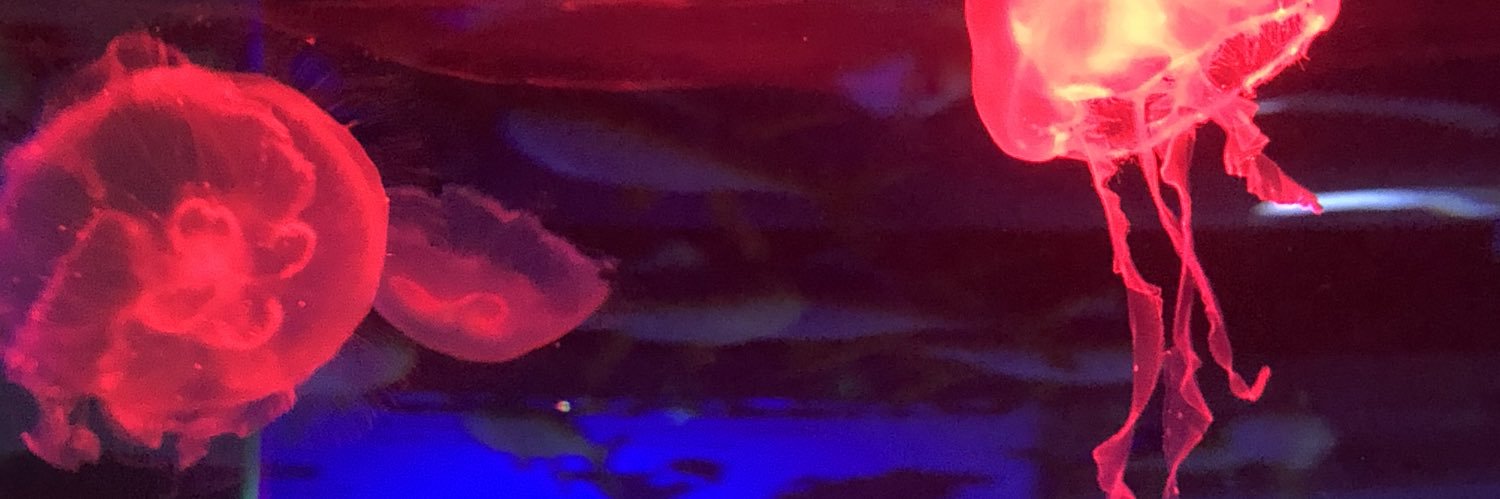4Hum4nB3ing's profile banner image