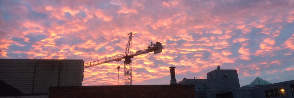 Ann Livingston banner