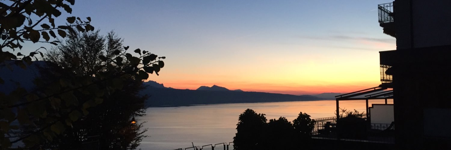 Stephanie Brook banner