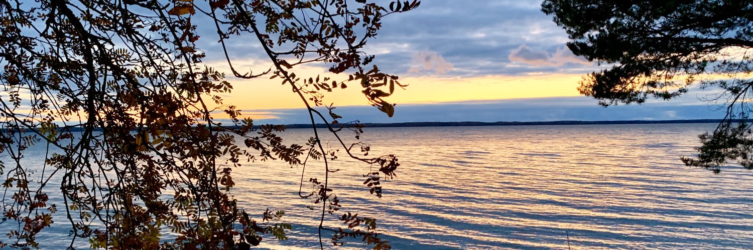 saarijuh's profile banner image