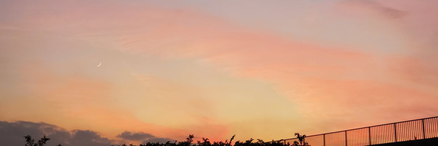 momon_ga_ko's profile banner image
