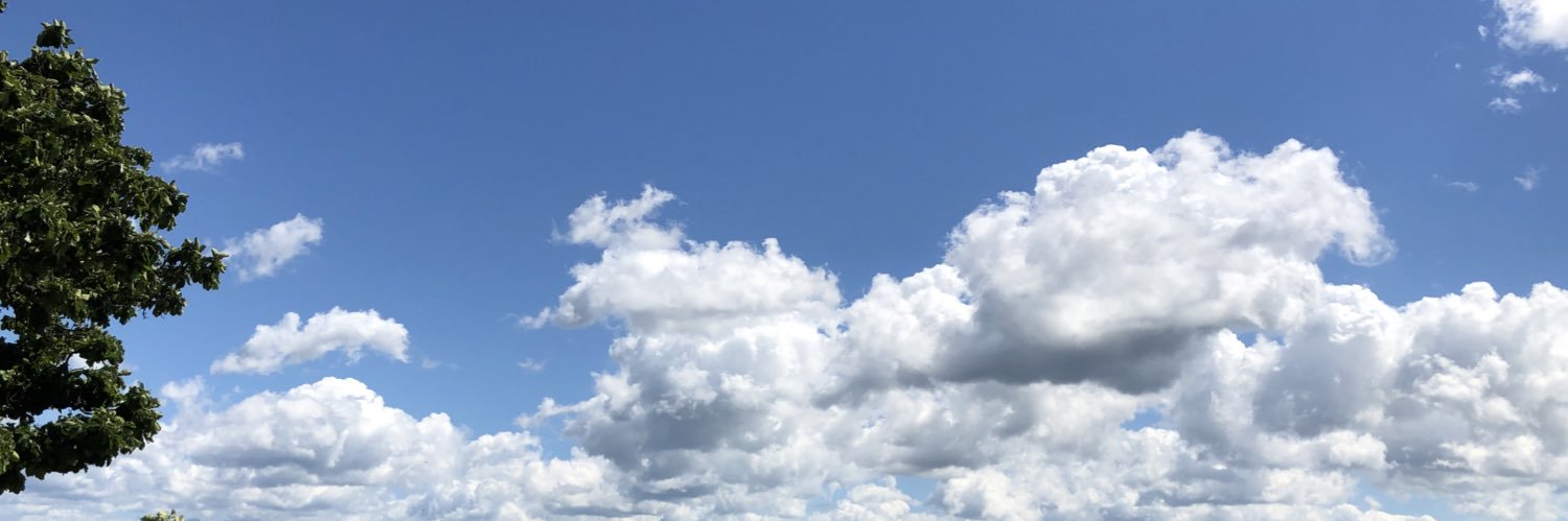 おでん@臨床工学技士 banner