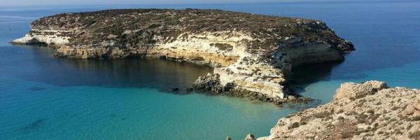 francycapannolo Profile Banner