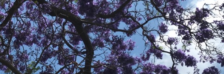 _funnnyone's profile banner image