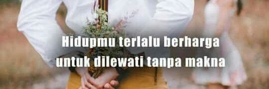 iamtarata's profile banner image