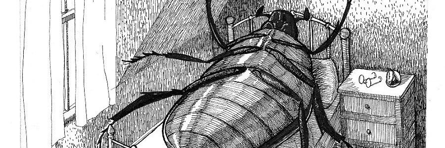 Crowmo got banned🥲 banner