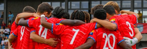waltonhershamfc Profile Banner