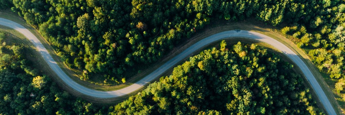 Crisp Professional Development banner