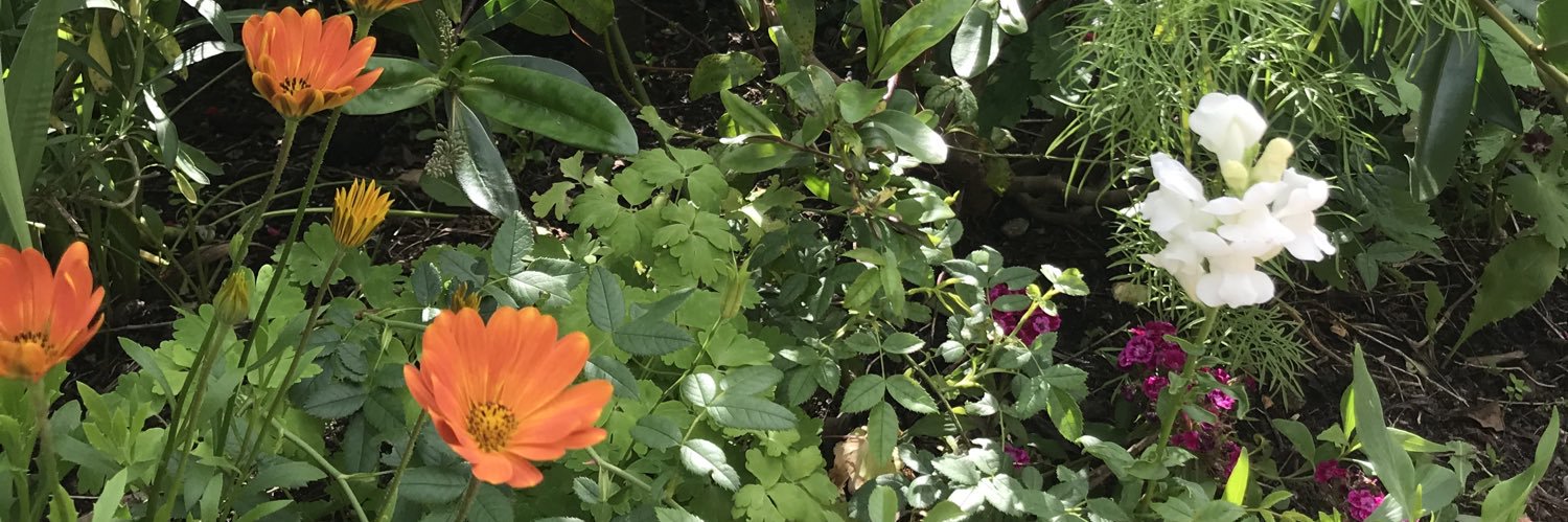 Health Psychology banner