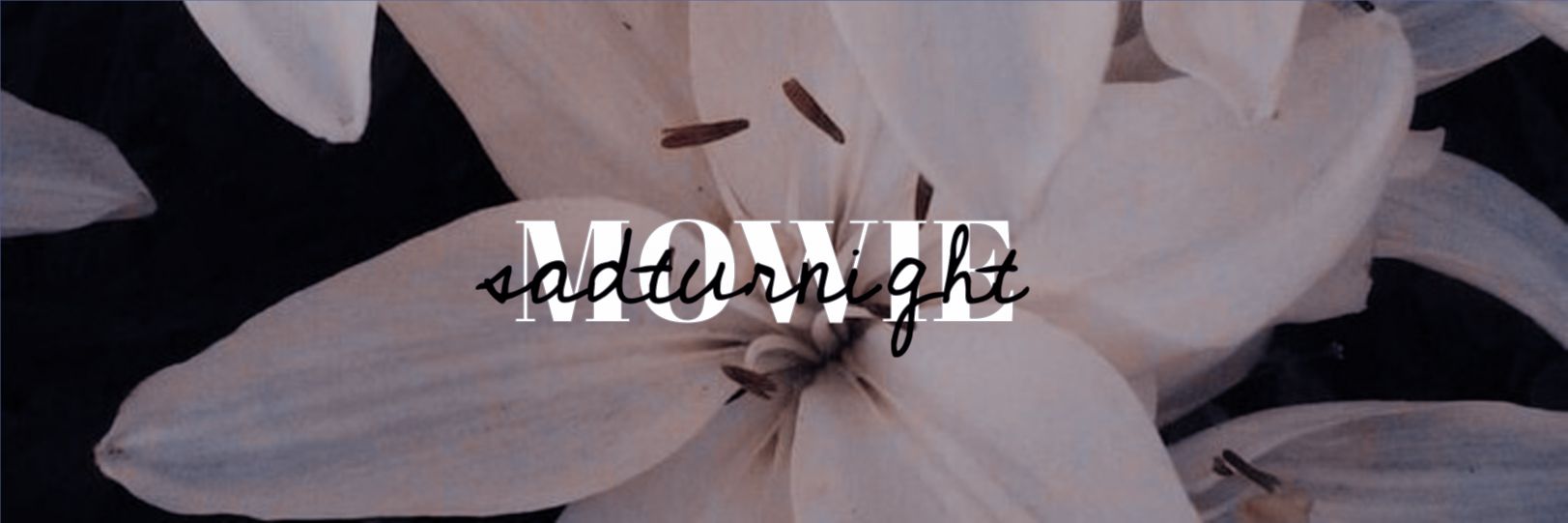 ღ 𝔪𝔬𝔴𝔦𝔢 🕊️ ⁺ banner