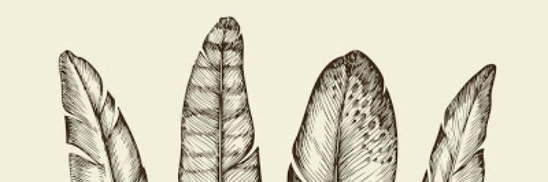 NatalieKimani's profile banner image