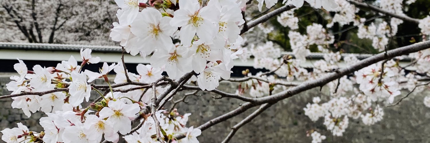 tititim0128's profile banner image
