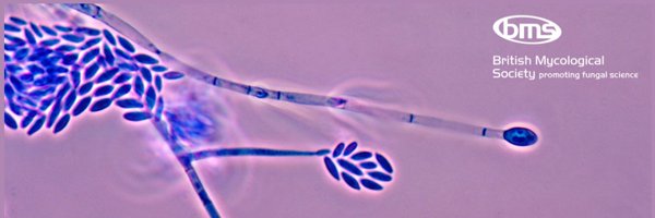 BMS_Scientific Profile Banner