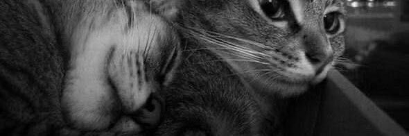 grbencnm's profile banner image