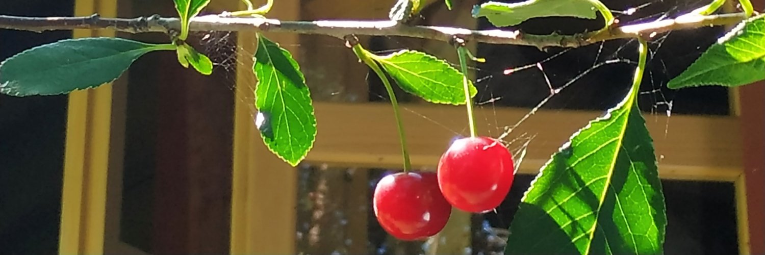 krprospekt's profile banner image