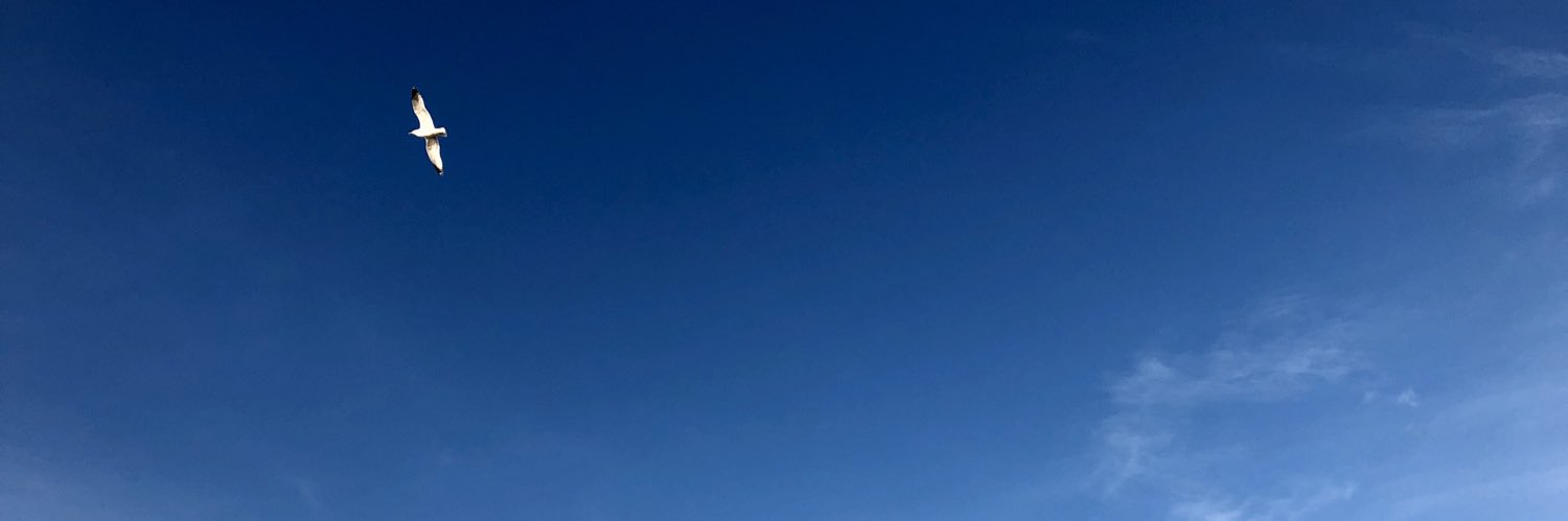 svonhalen's profile banner image