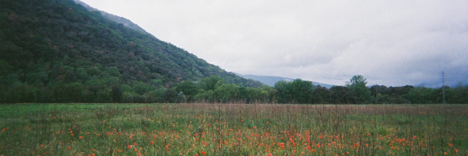 maría banner