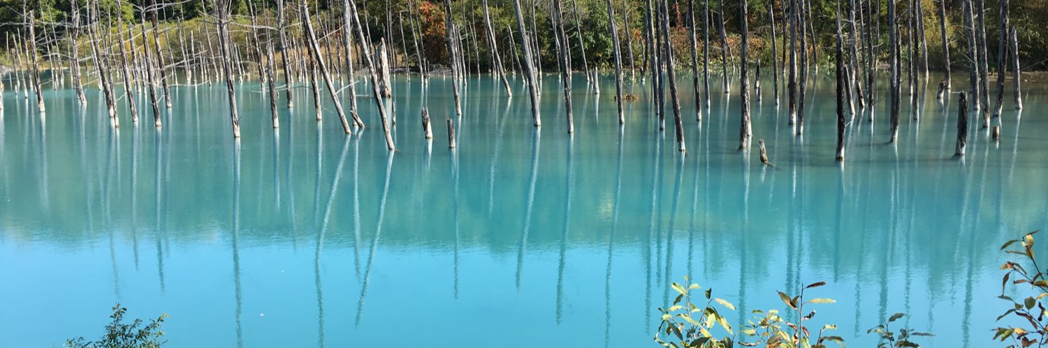 ごだま　2026年「三原順 原画展～夢をごらん～」 banner