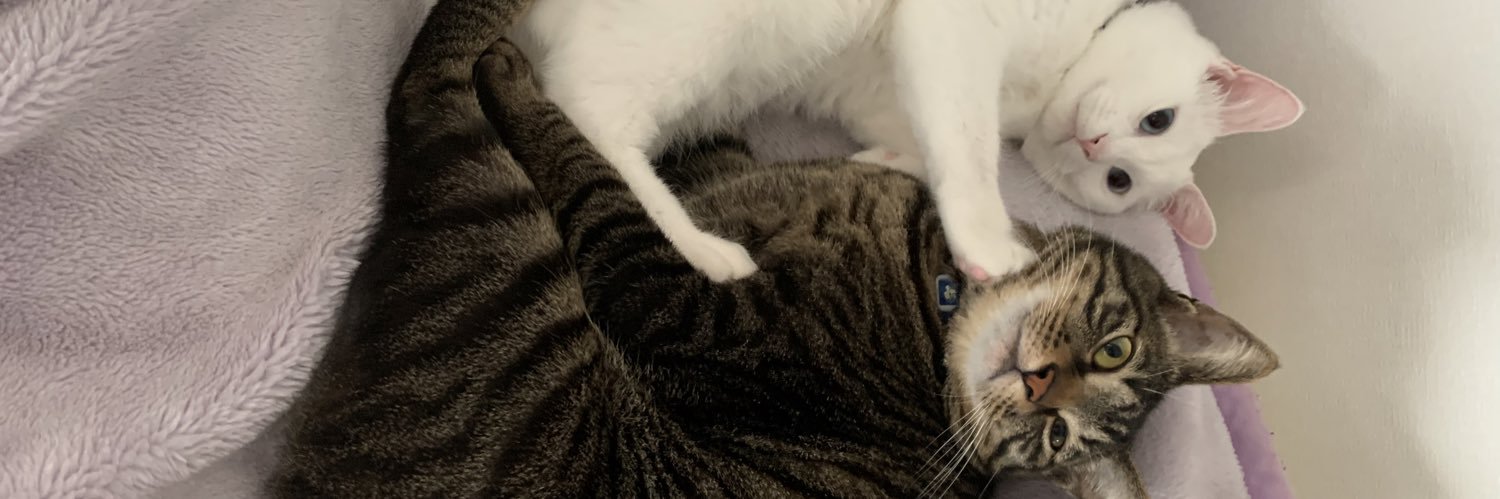 olvaly's profile banner image