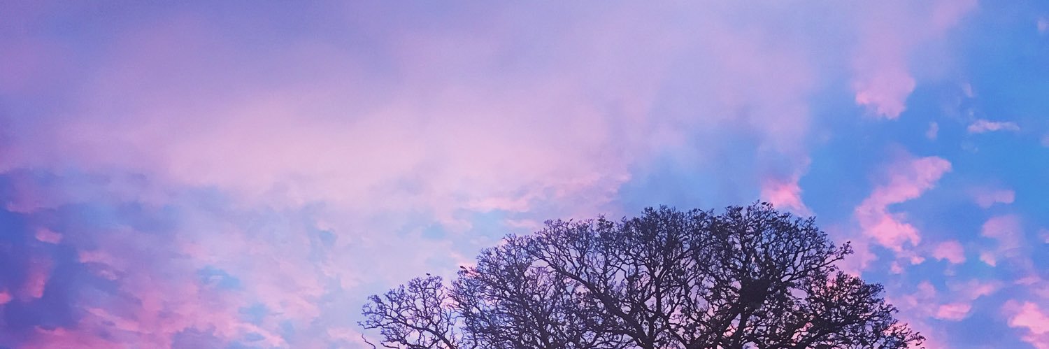 ayebecca_'s profile banner image