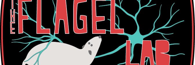 Shelly Flagel's banner