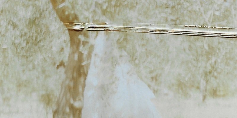 ardnsselaR's profile banner image