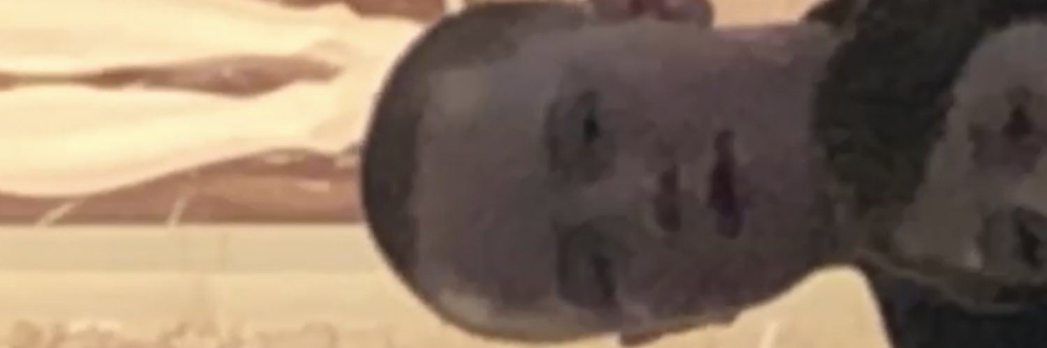 SlightlyBrowns's profile banner image