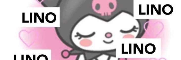 wilminha VAI VER O SKZ banner