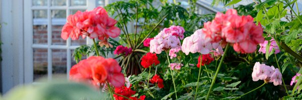 GCWalledGarden Profile Banner