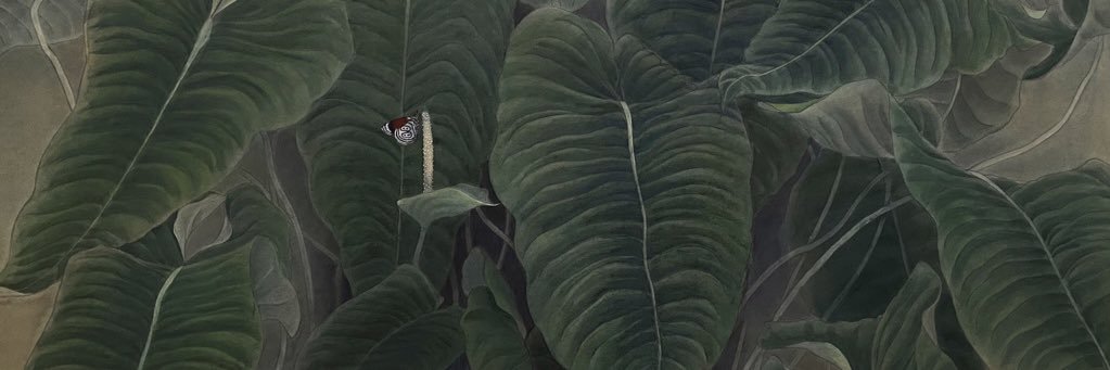 中村 勇太 banner