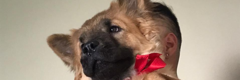 oBrunoGab's profile banner image
