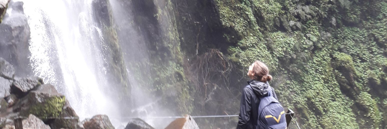 boteroseb's profile banner image