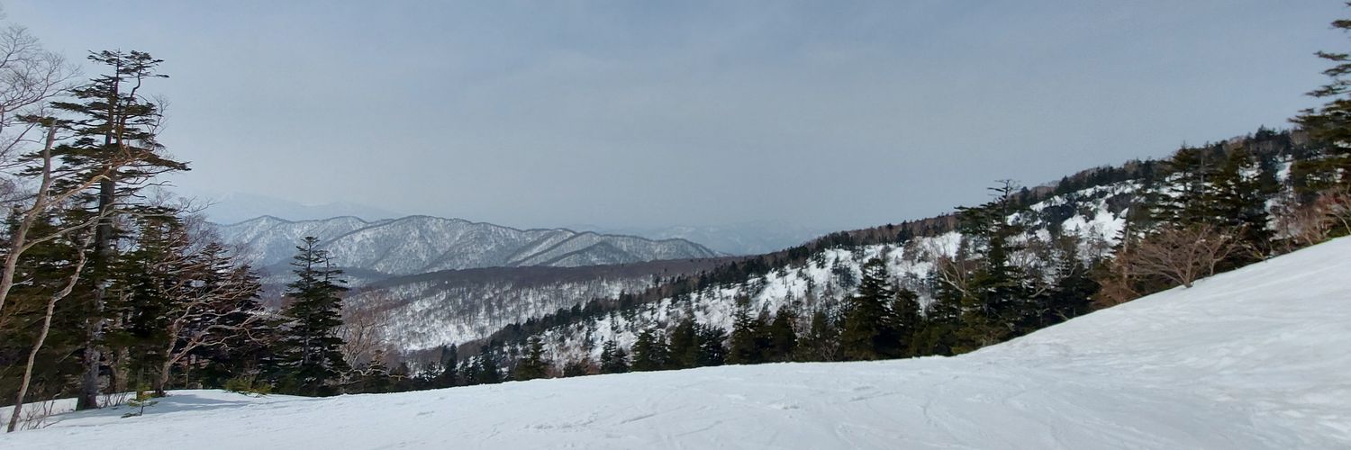 mattsun1990's profile banner image