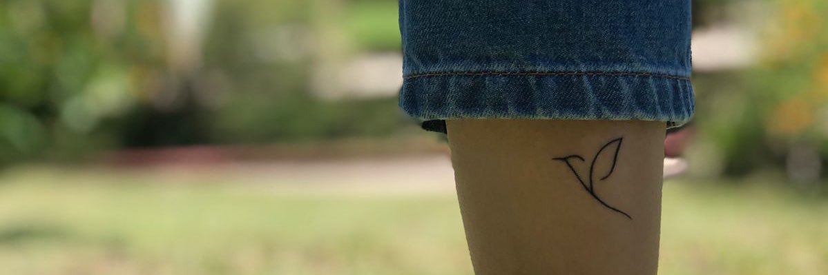 gianaramseyer2's profile banner image