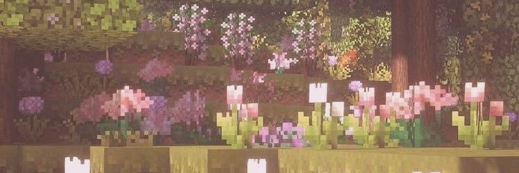 Batool_013's profile banner image