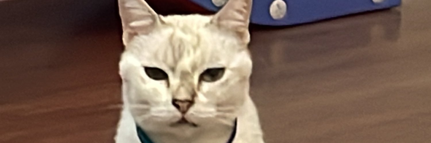 impotatoto's profile banner image