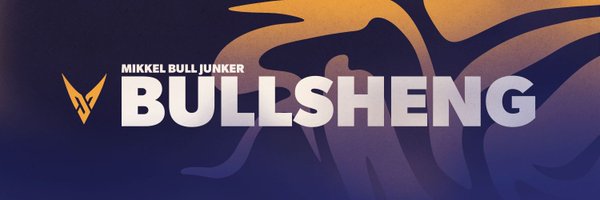 Bullsheng Profile Banner
