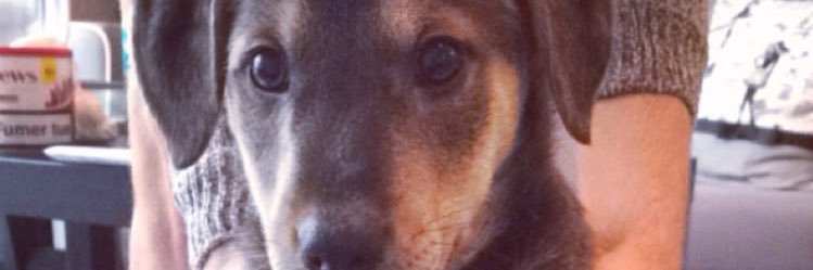 KatyCharroux's profile banner image