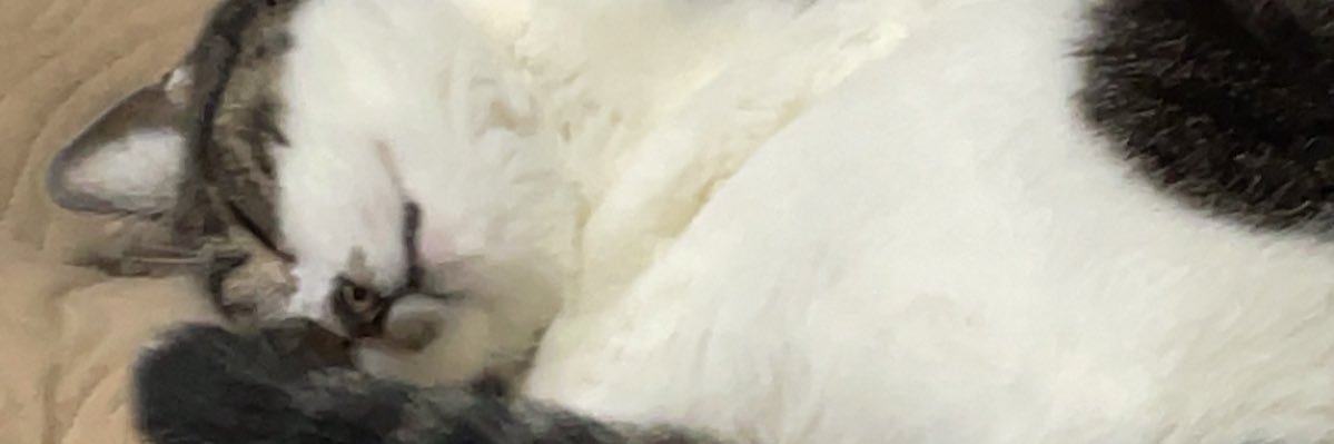 あぢ（z-）そよ風邪's banner