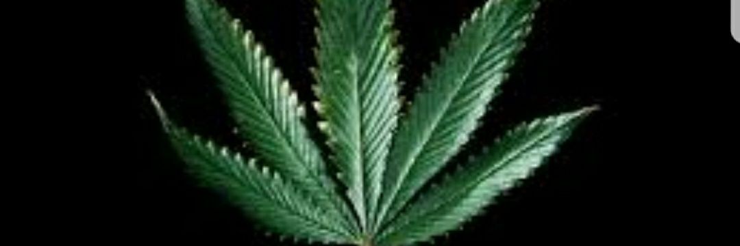 PIPEITUP_420's profile banner image