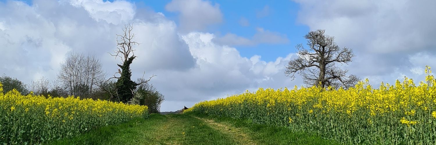 SamuelChardon banner