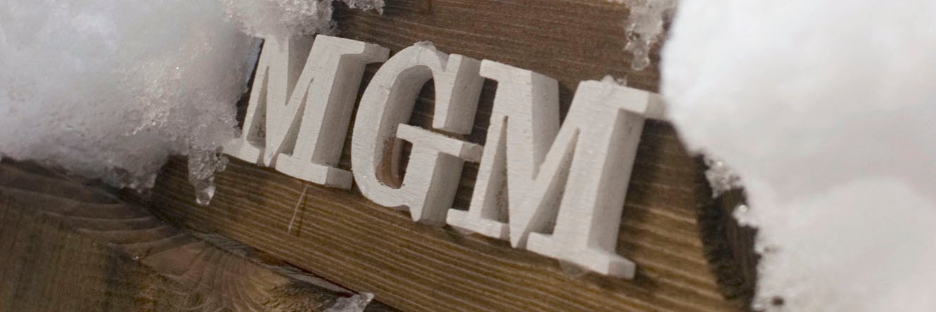 MGM Constructeur banner