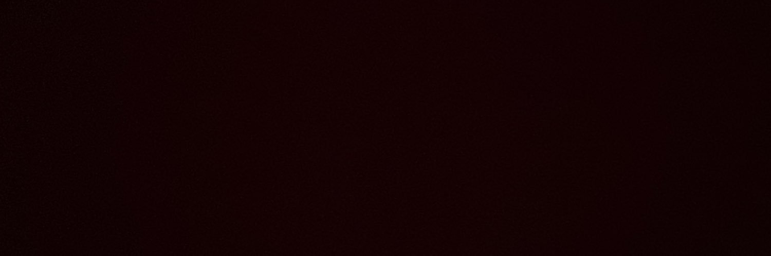 sofiaharaseth's profile banner image