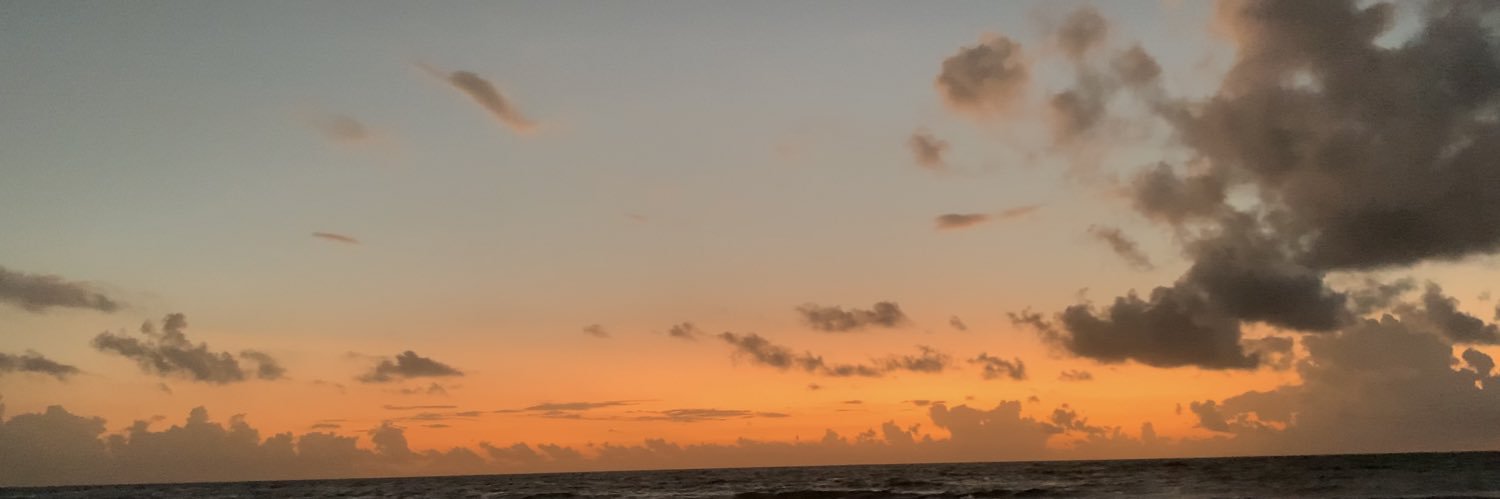 nataliet__'s profile banner image