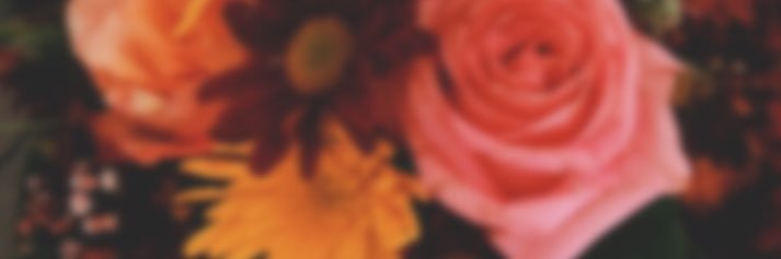 Shaiooom_95's profile banner image